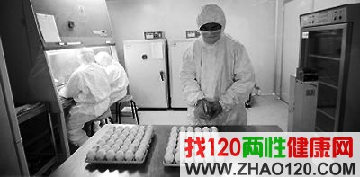 �й��Ƽ�ӭս��������:5Сʱ�ڿɻ�����(ͼ)