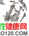 �ձ���ѧ���ĵ�����H1N1���в�������Ŀ