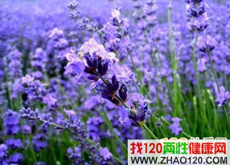 ޹�²�ζ���ܸ����ļ�����