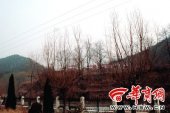 �����ֳ��ٱ��س��Ⳮ�ҵ��� �س���Ϊ�ٶ���