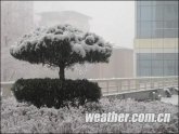 �������ս���ѩ ר�ҳ�����Ʈѩ������(ͼ)