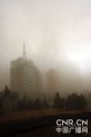 青海西宁遭遇大风沙尘天气 车辆开灯行驶(图)