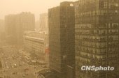 �����ٴ���ɳ��Ϯ�� ����������4���ж���Ⱦ