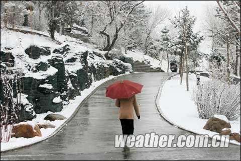 ��Ѷ�����ɹż��ֽ�ѩ �����������ֵ�������