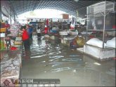 广西暴雨引发洪涝灾害 未来一周仍多阴雨天气