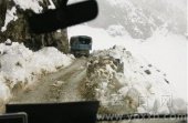 ���ض����壺�������޷������ִ�������ɱ(ͼ)