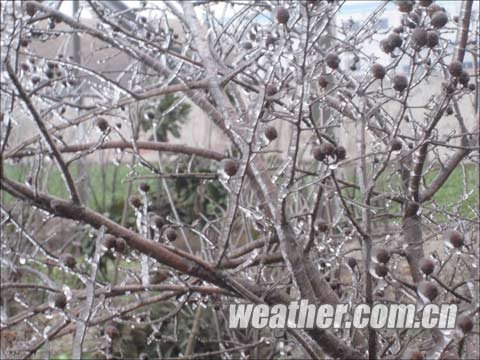江汉江淮等地雨转雪 南方阴雨降温超10℃