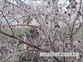 ���������ȵ���תѩ �Ϸ����꽵�³�10��