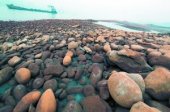 ���컯����ҵ���۽����� Ⱦ�콭̲����ʯ(ͼ)