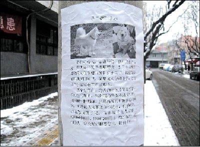 ��Ѯ��̫������Ѱ��������Ѱ��Ȯ