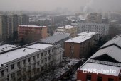 ����������ӭǿ��ѩ δ�����ս����ִ�罵��