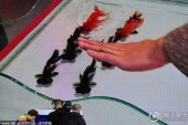 ����ħ��������Ű�㡱 ħ��ʦ��ԩɹ������