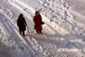 ���ű�������ѩ���ͻ�ѩ�������