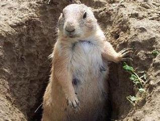 ��ѧ�ҷ������������Լ������� �������˵ĳ���