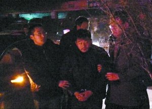 重庆重达500公斤石雕白象遭窃 警方20天破案