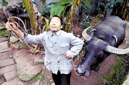 种地喂猪做家务 盲人里外一把手(图)