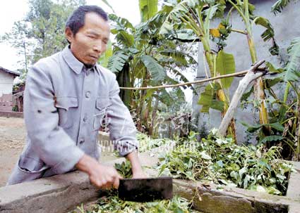 种地喂猪做家务 盲人里外一把手(图)
