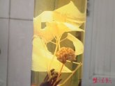 �˲����ڰ׾���6�꿪�����(ͼ)