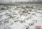 ����ӭ���������ѩ �ɻ������ѩ��ҵ