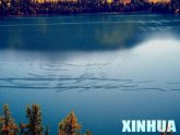 �½���̽�ؿ���˹���� ѧ����Ϊ������������