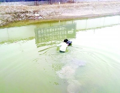 女子与丈夫吵架后跳河寻死 发烧民警冰水救人